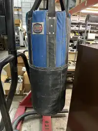 Image of Sports Combat Punching Bag