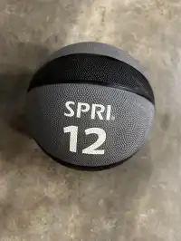 Image of Small 12 Lb Medicine Ball